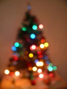 christmas-tree-15452_1280