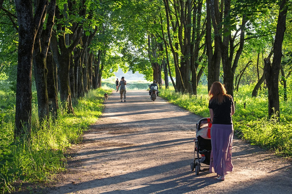 kočárek