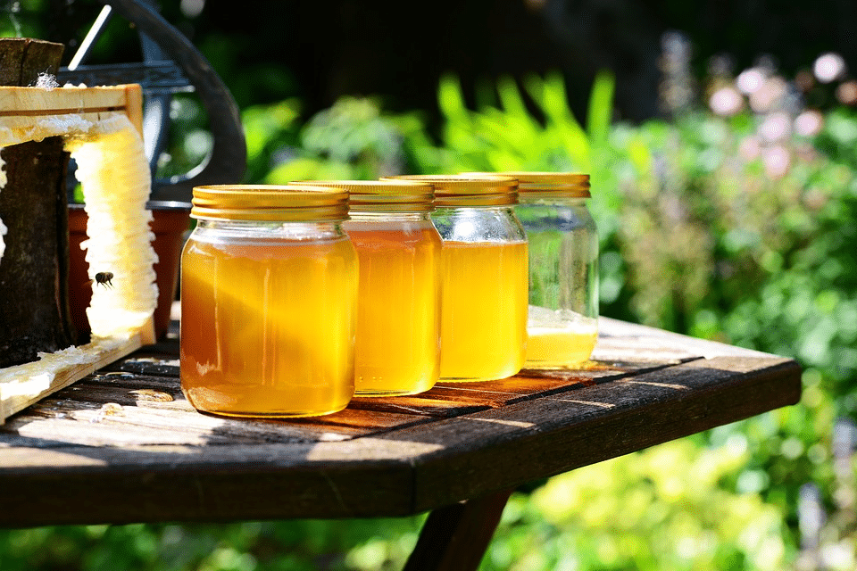 Možnosti využití medu, o kterých byste měli vědět. Velký pomocník na pokožku i vlasy. 2
