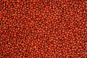 červené fazole 3